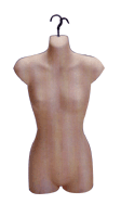 Torso & Form
